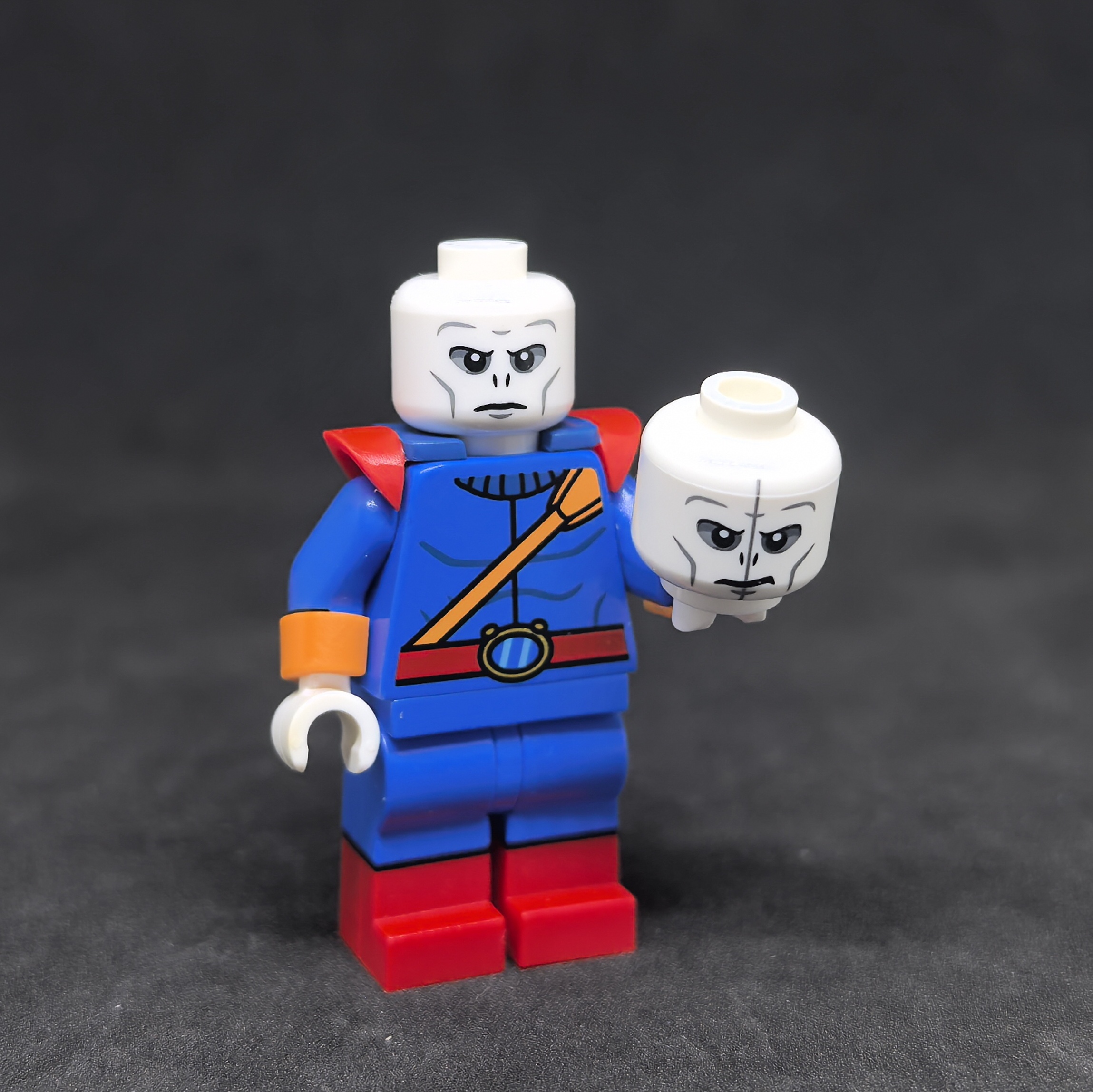 【Earthly brick】變色龍