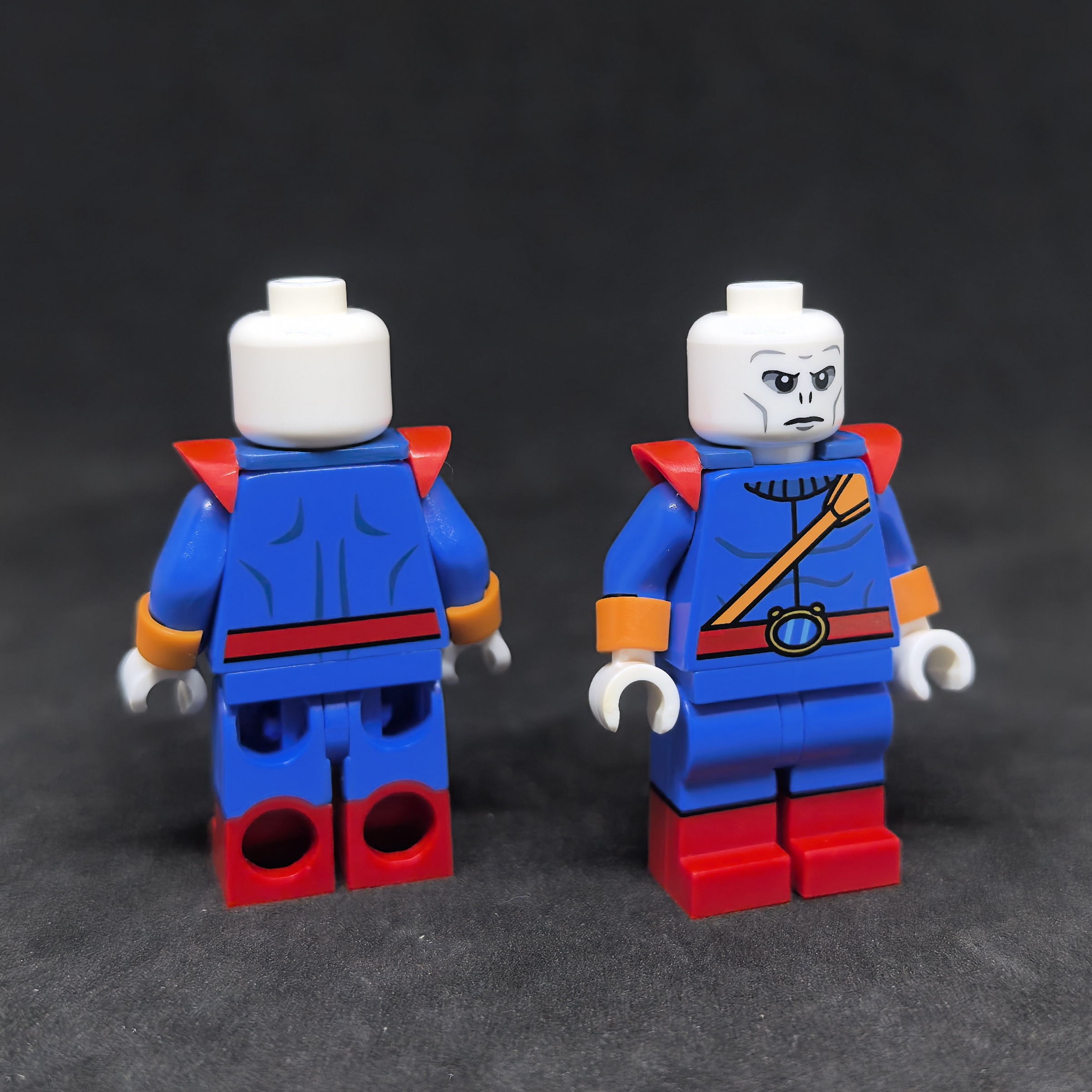 【Earthly brick】變色龍