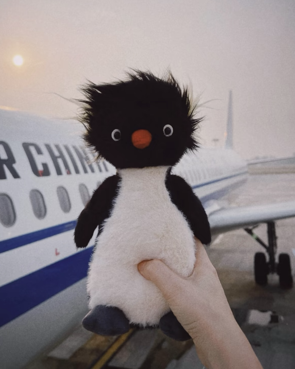 JELLYCAT 北極南極系列 羅尼跳岩企鵝 炸毛企鵝 毛絨 玩偶 娃娃