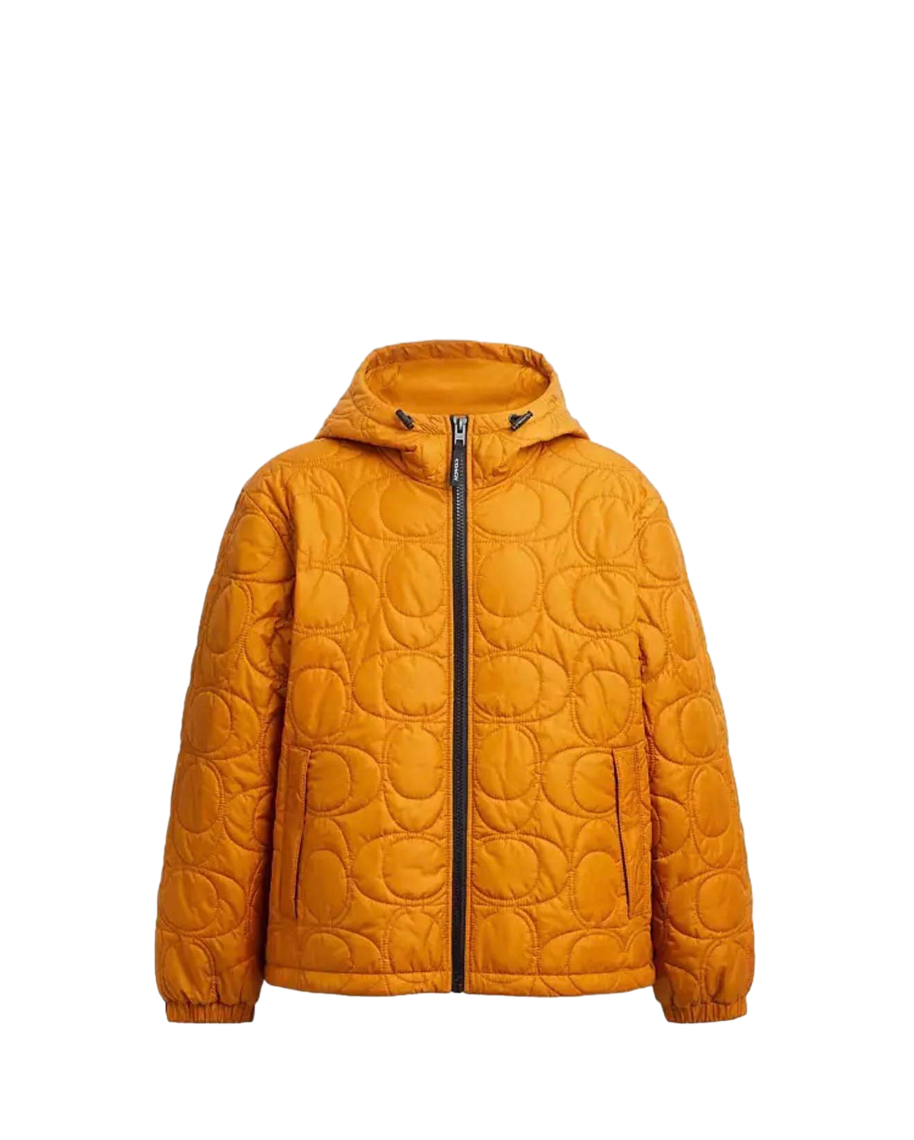 【Coach】Coach  黃