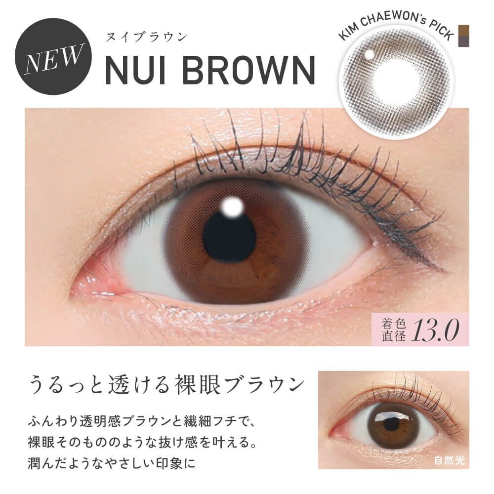 [日版]ReVIA 1 Day (Nui Brown)(10片)