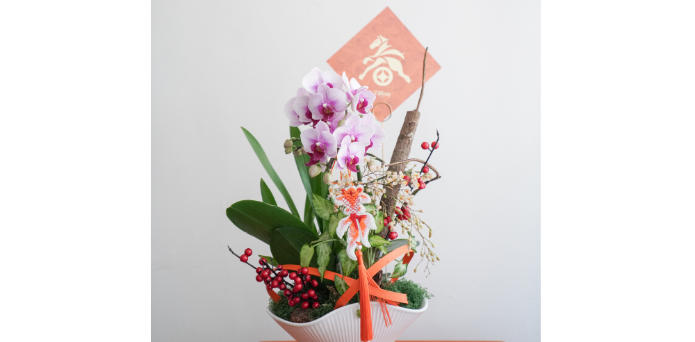 蘭花盆栽保養方式