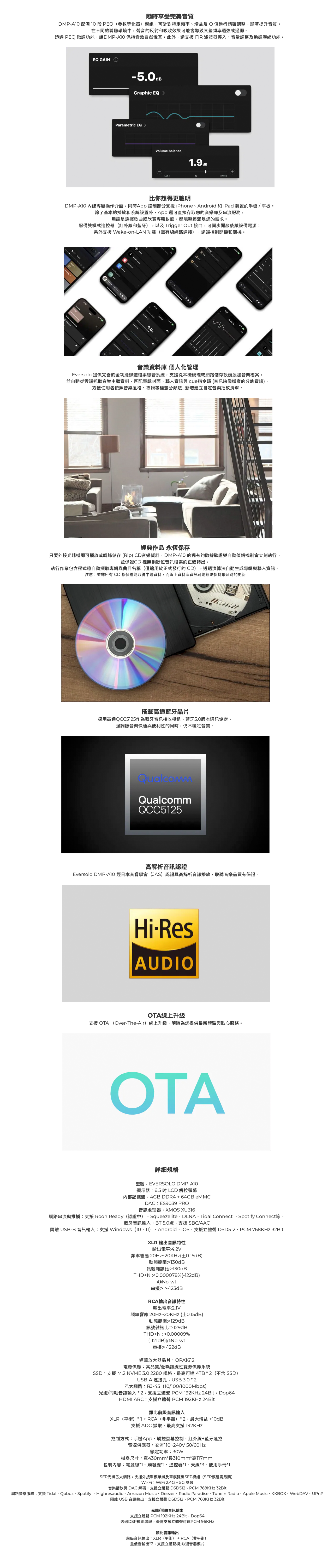 Eversolo DMP-A10 背板 輸入／輸出 介面