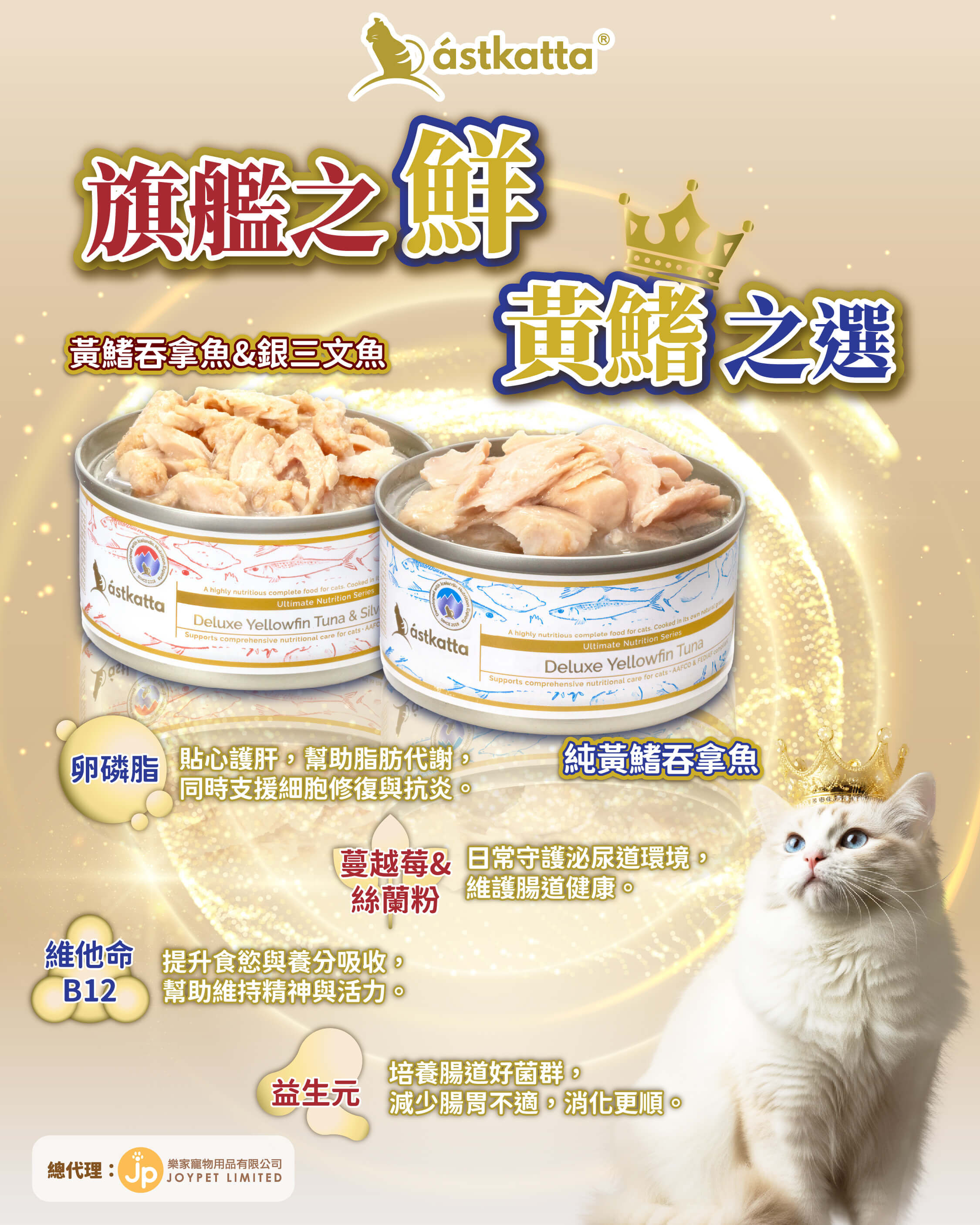 Astkatta 黃鰭吞拿魚罐