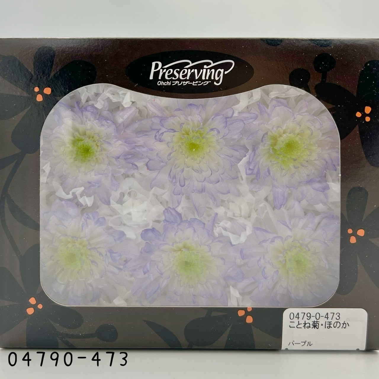 日本不凋菊花(6朵/盒) 04790-473