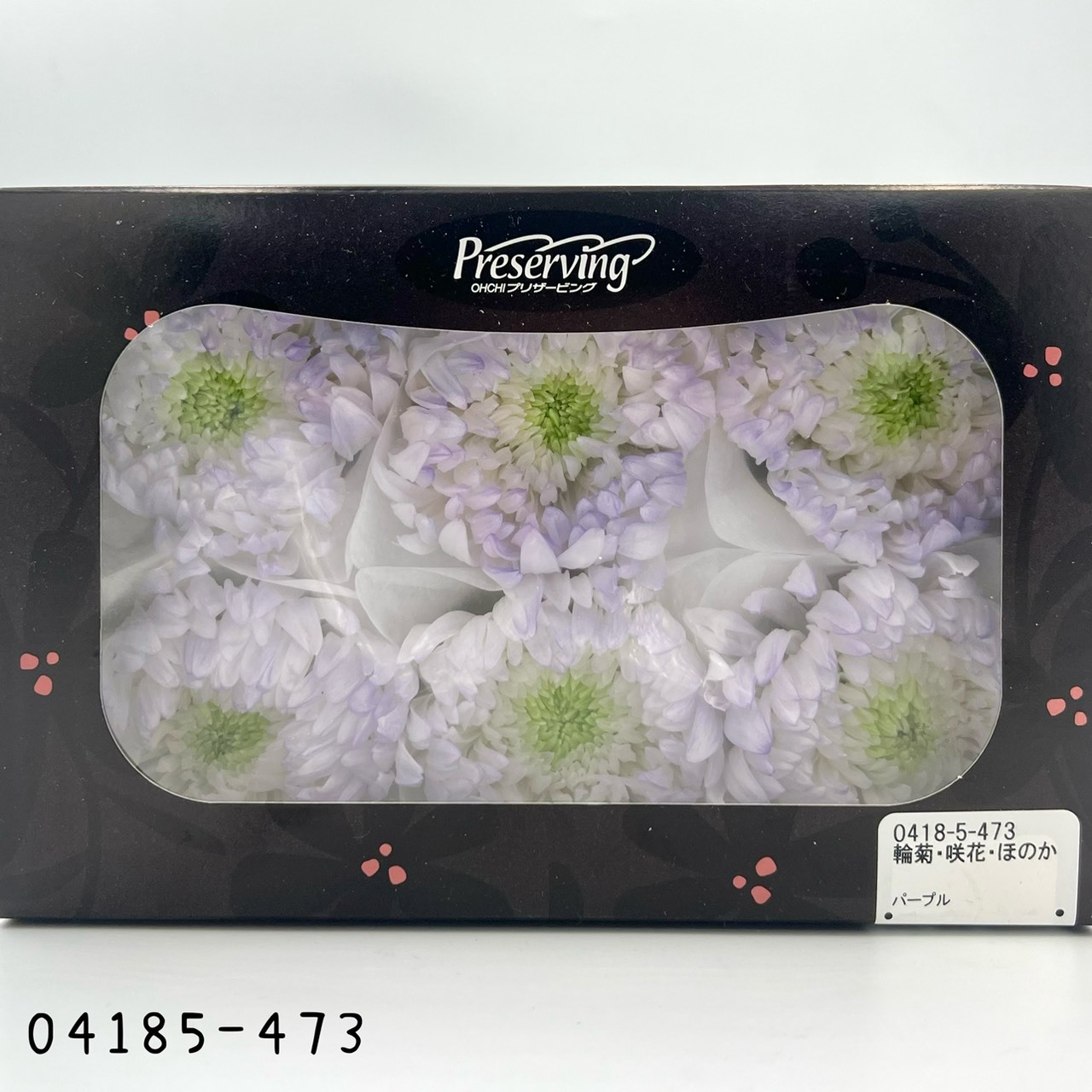 日本不凋雙色輪菊(6朵/盒) 04185-473