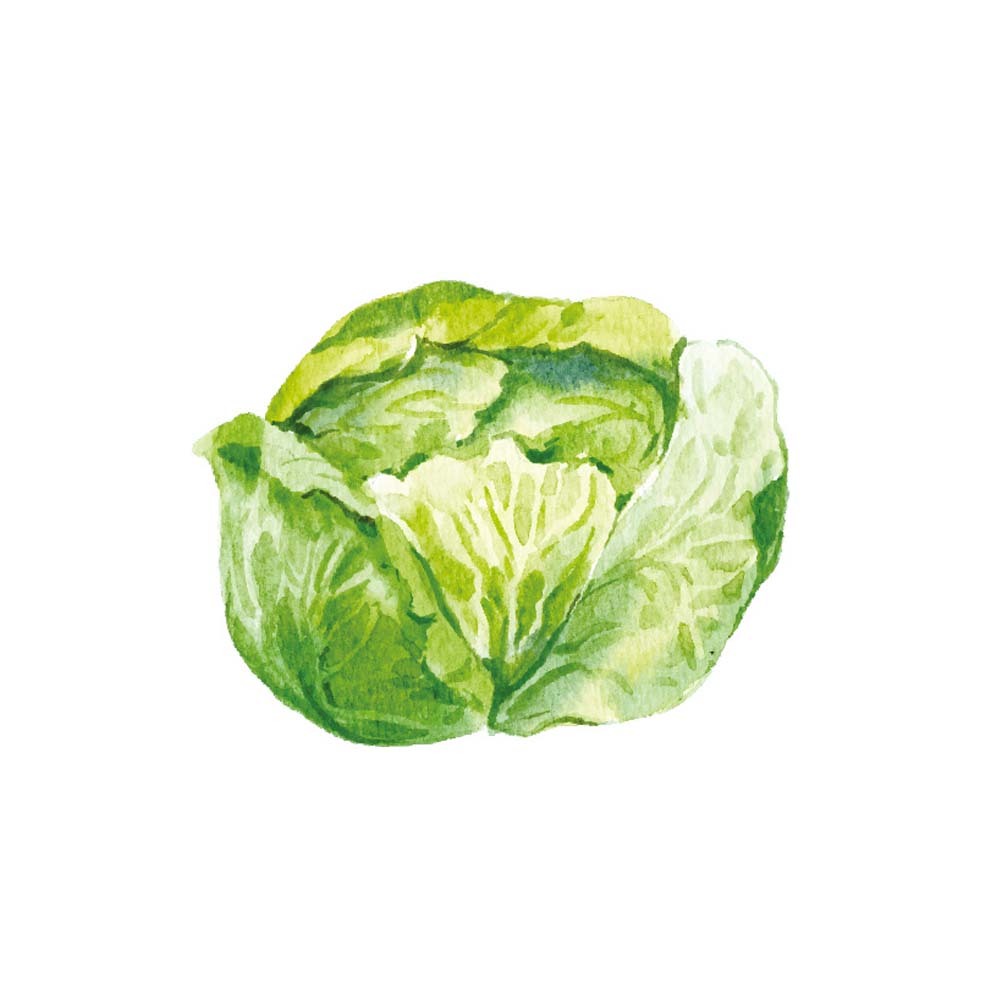 【格萊思美】全食物型態專利高麗菜濃縮  60粒