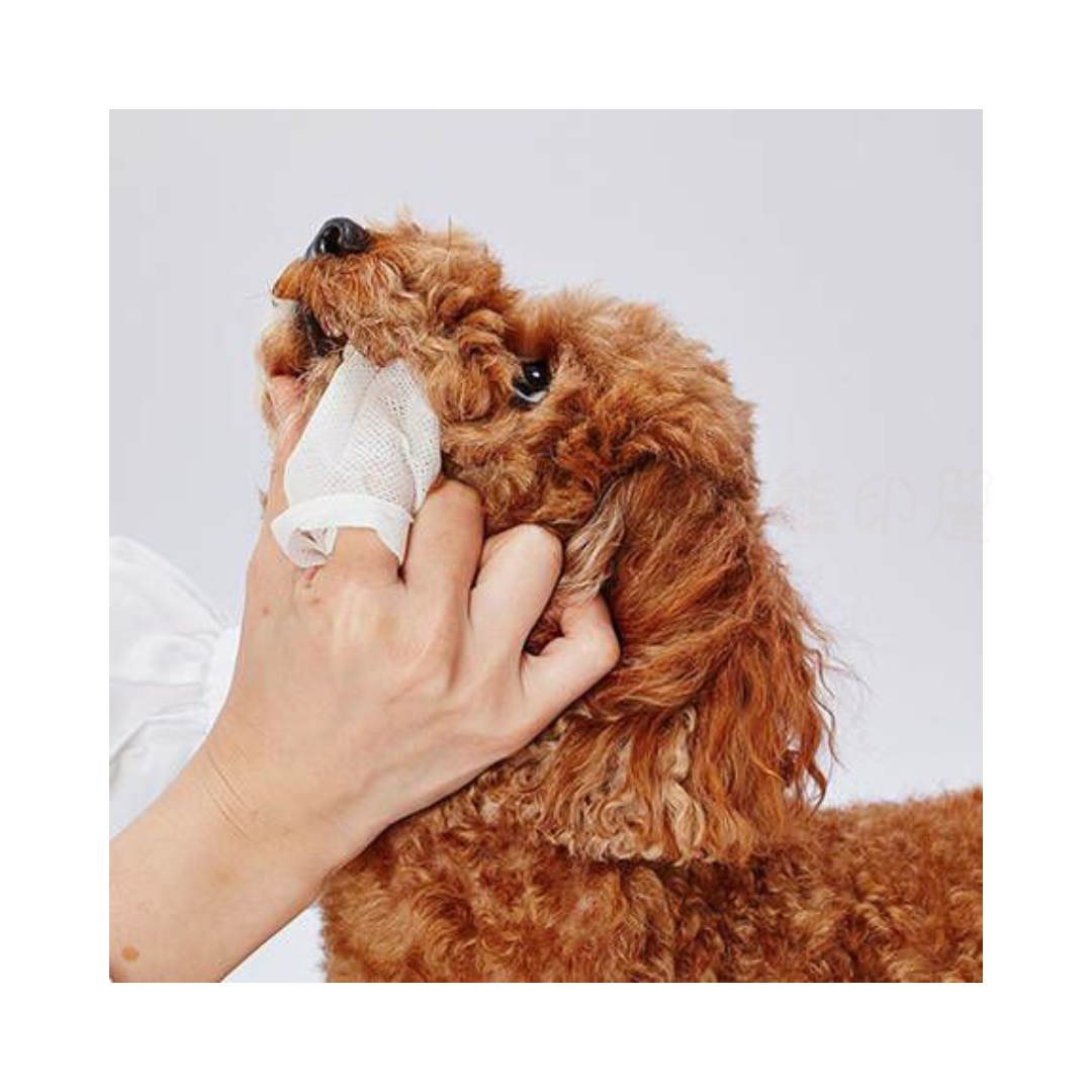 Petio 貓狗寵物清潔牙齒專用濕紙巾(無香料) 30枚入 X2 (綠)