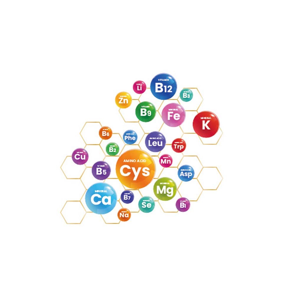 【格萊思美】天然酵母胺基酸B群+SOD 10粒