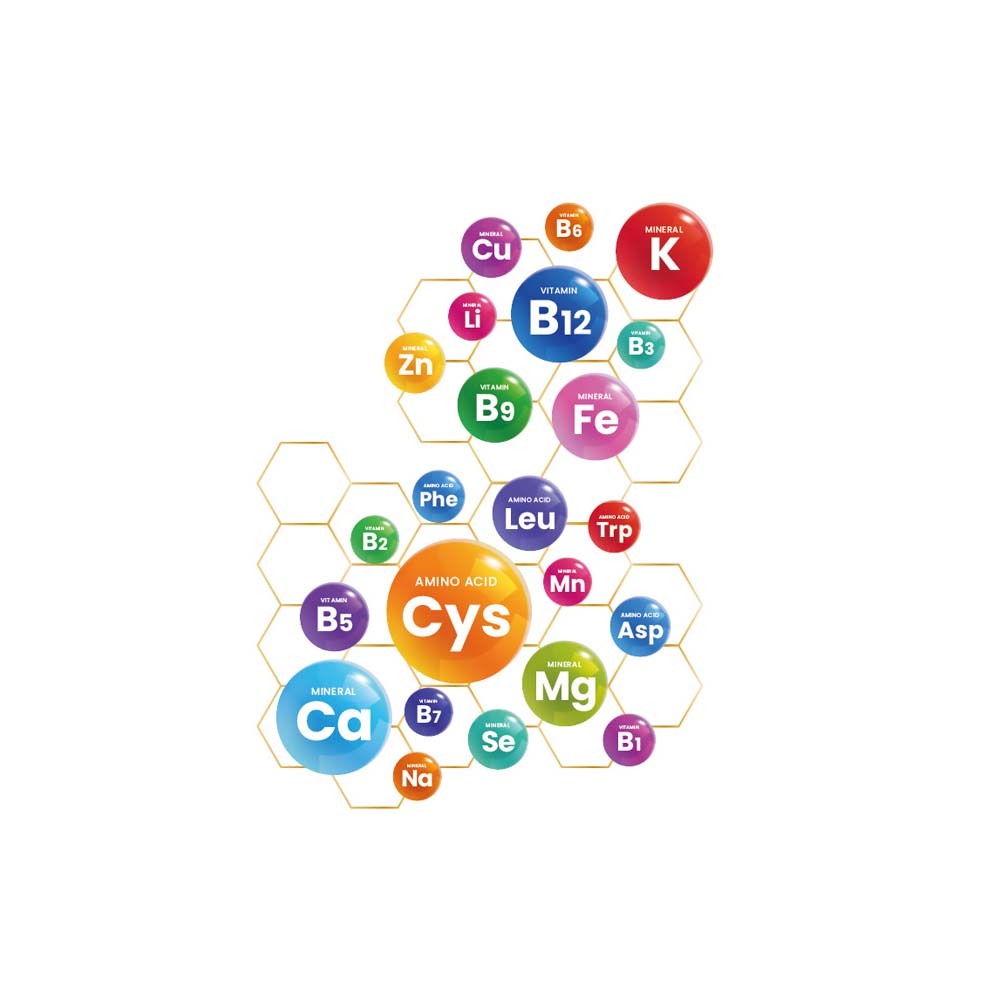 【格萊思美】天然酵母胺基酸B群·全素 60粒