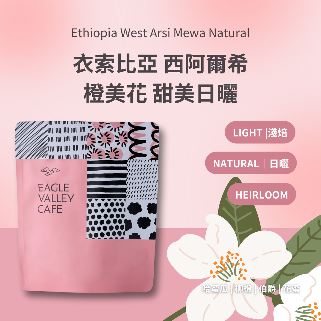 衣索比亞 西阿爾希 Tamiru 美花處理廠 橙美花 甜美日曬 淺焙 咖啡豆