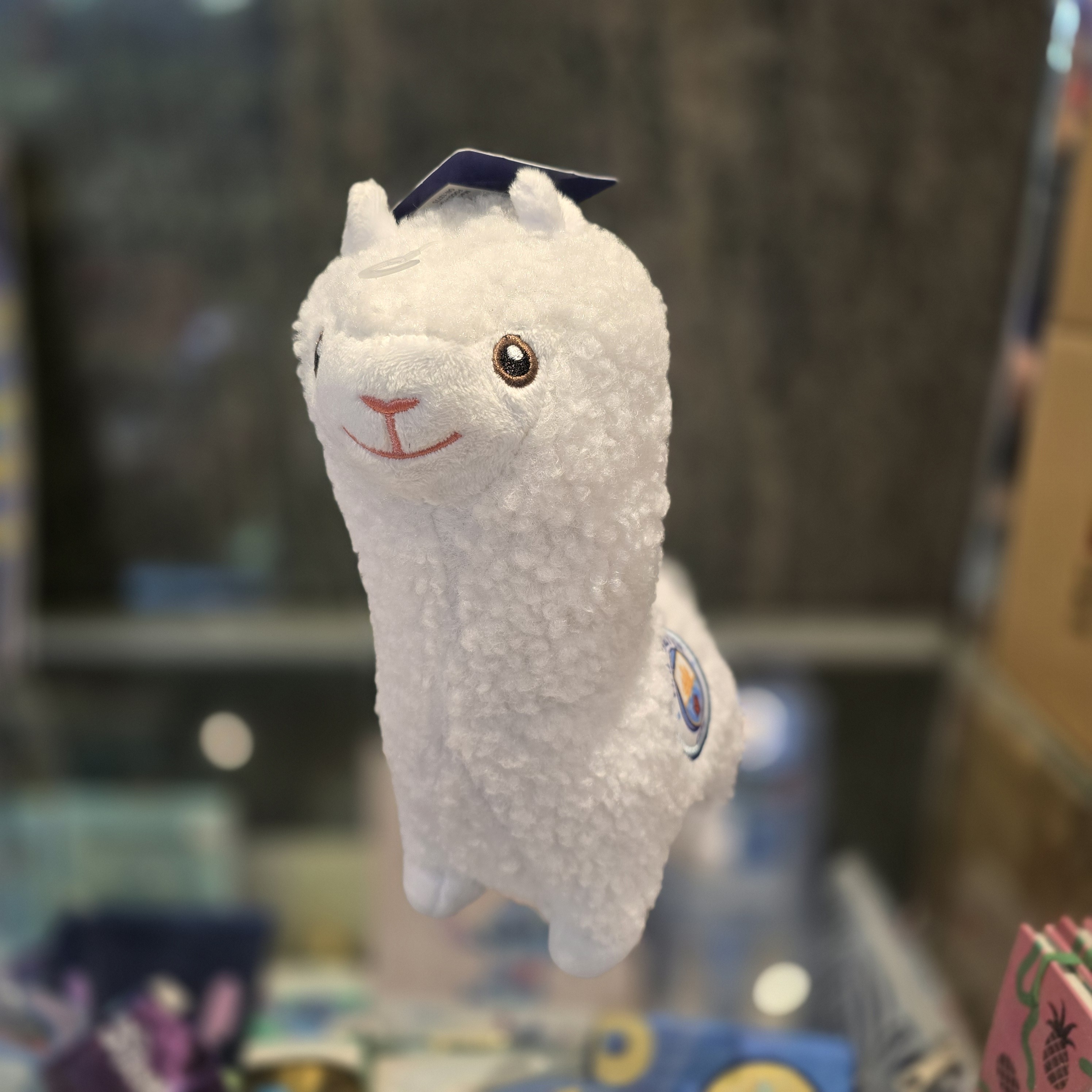 曼城大羊駝毛公仔