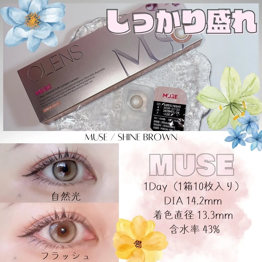 OLENS Muse 1 day (Shine Brown)(10片)