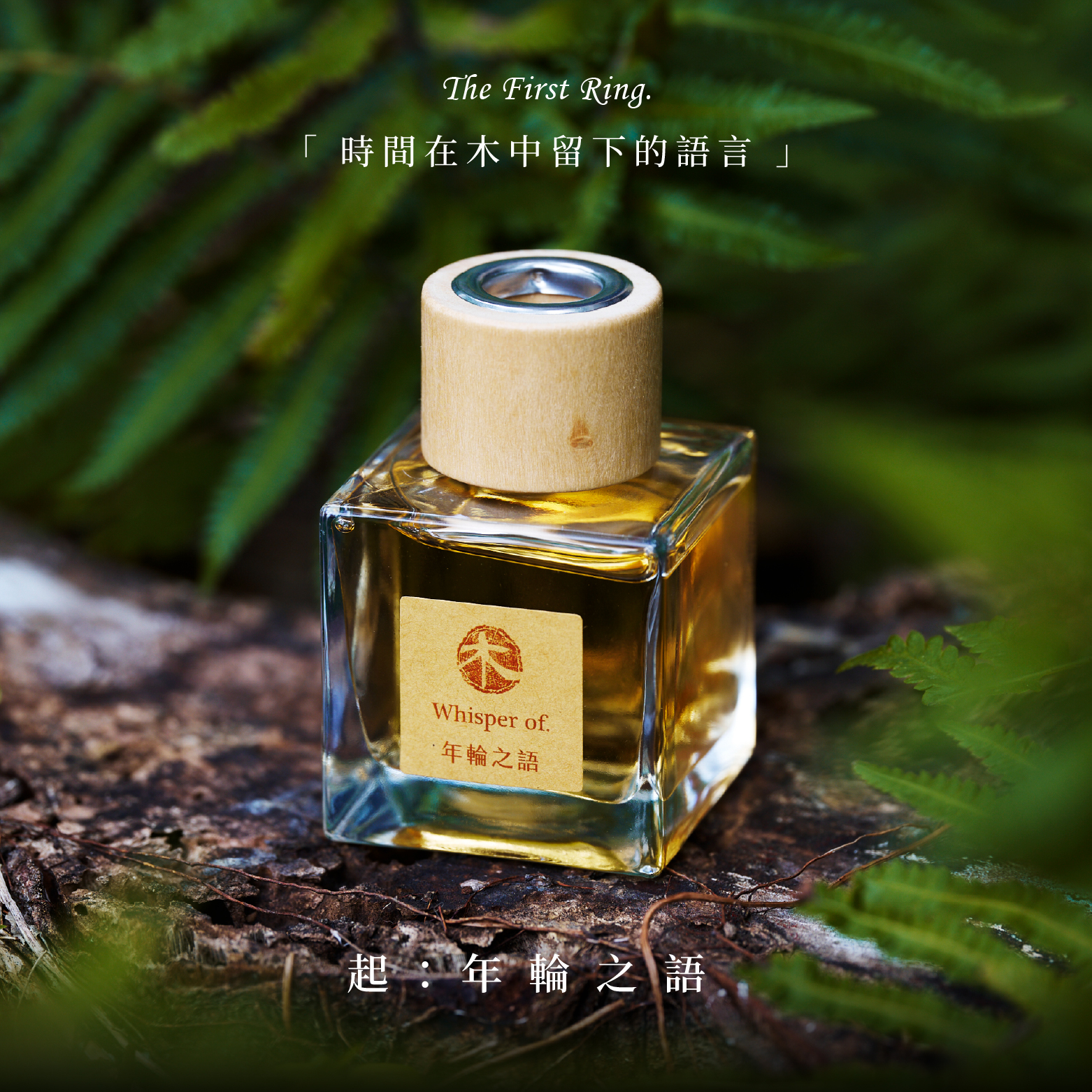 擴香木光盒套組 | 年輪之語