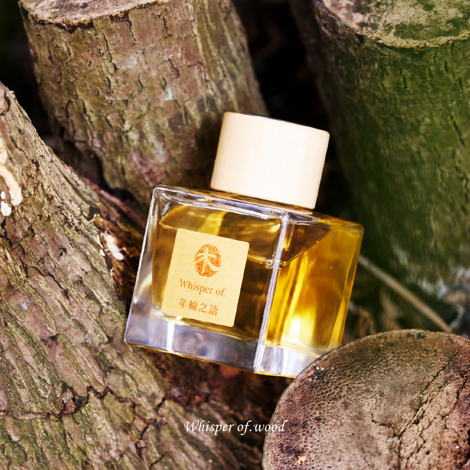 擴香木光盒套組 | 年輪之語