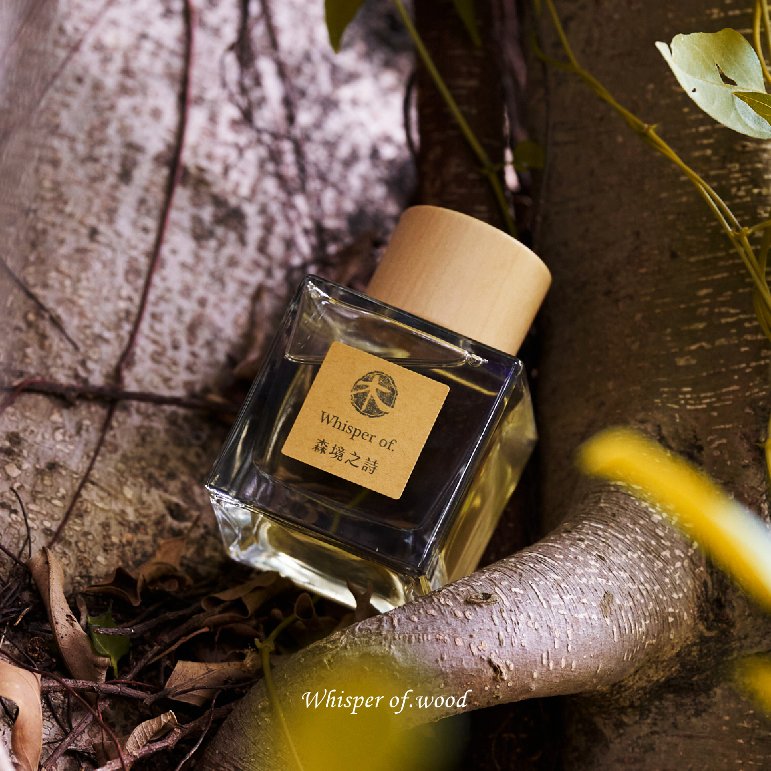 擴香木光盒套組 | 森境之詩