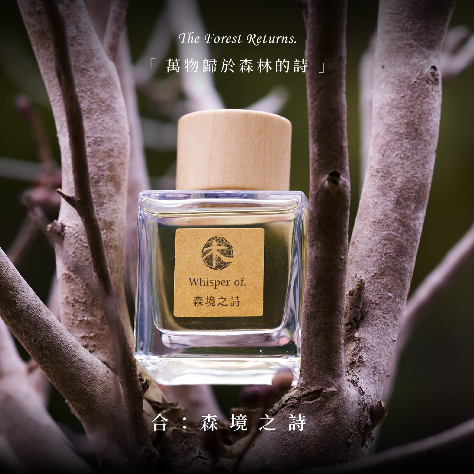 擴香木光盒套組 | 森境之詩