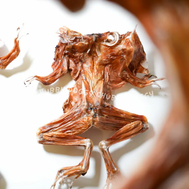 chubby doggy -酥酥牛蛙｜人食等級田雞肉