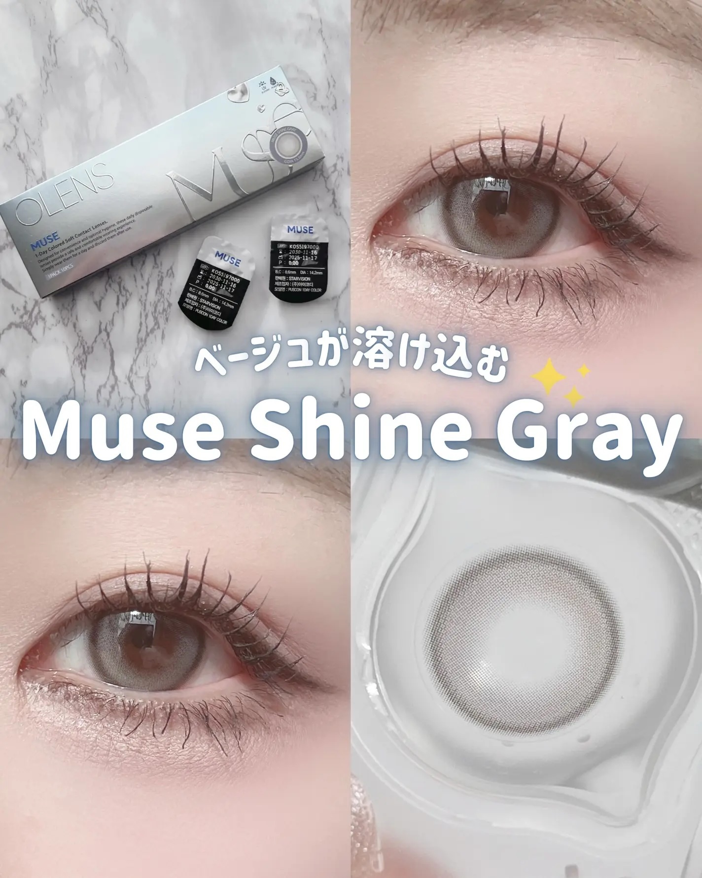 OLENS Muse 1 day (Shine Gray)(10片)