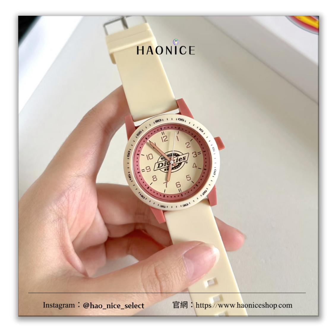 【HAO NICE】100%正品🔥潮流品牌 Dickies 多巴胺系列 馬卡龍🌈學生風 靜音 石英錶 指針表 防水運動錶