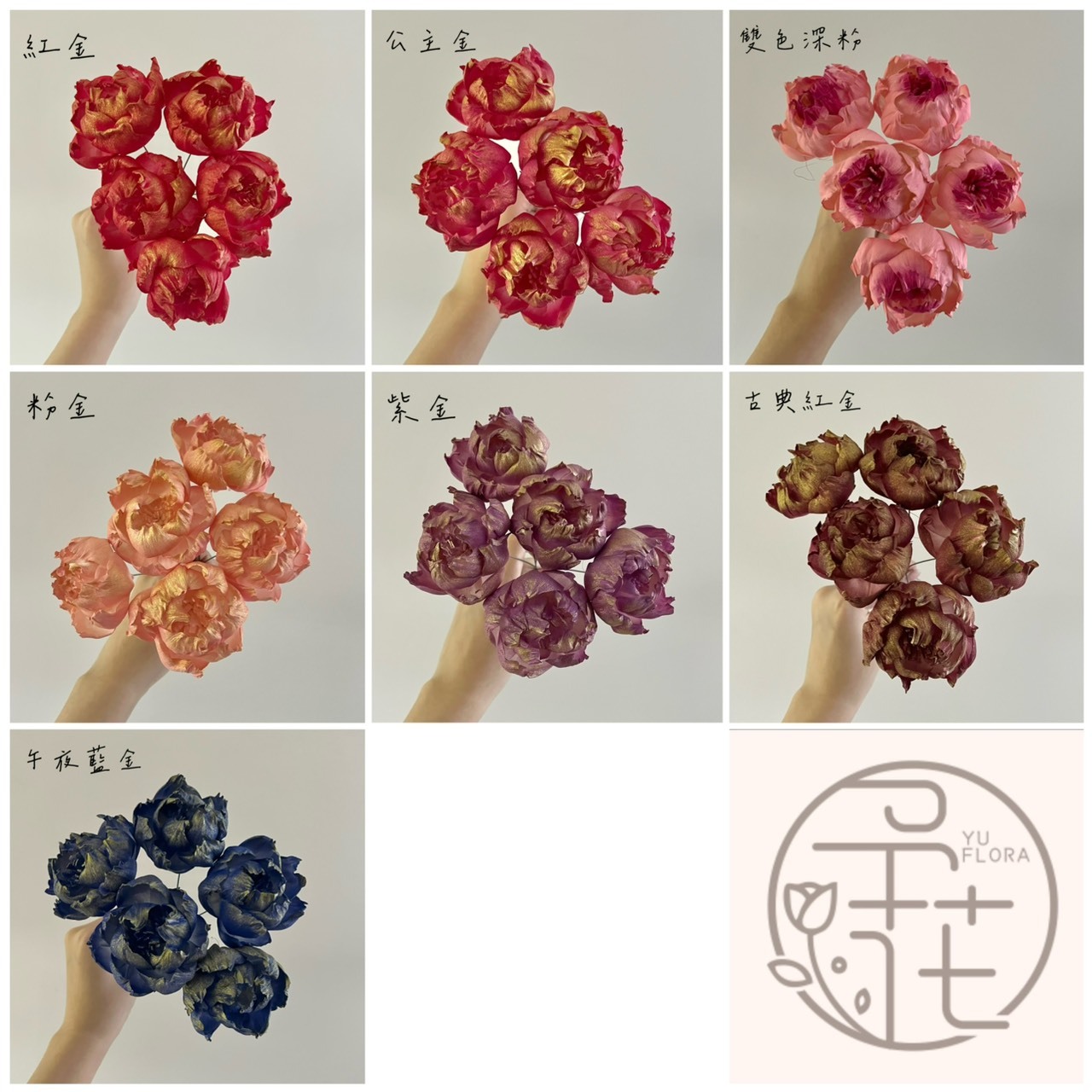 泰國索拉 尖葉牡丹(白心) 6CM <十支一把> (高品質)