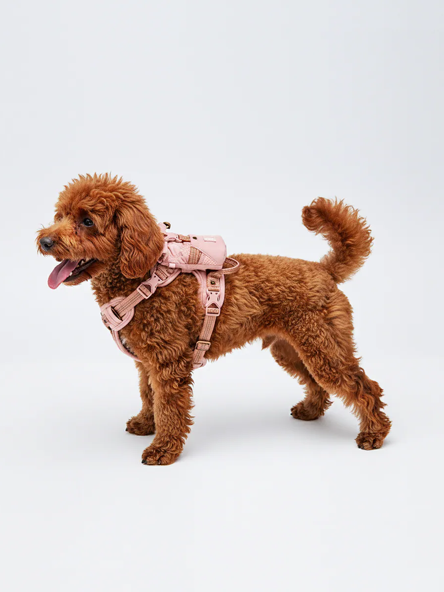 【horhorjoy】一起 GO GO 親子隨行包｜ 鉑金粉