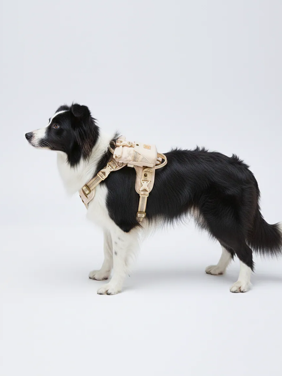 【horhorjoy】一起 GO GO 親子隨行包｜ 鉑金白