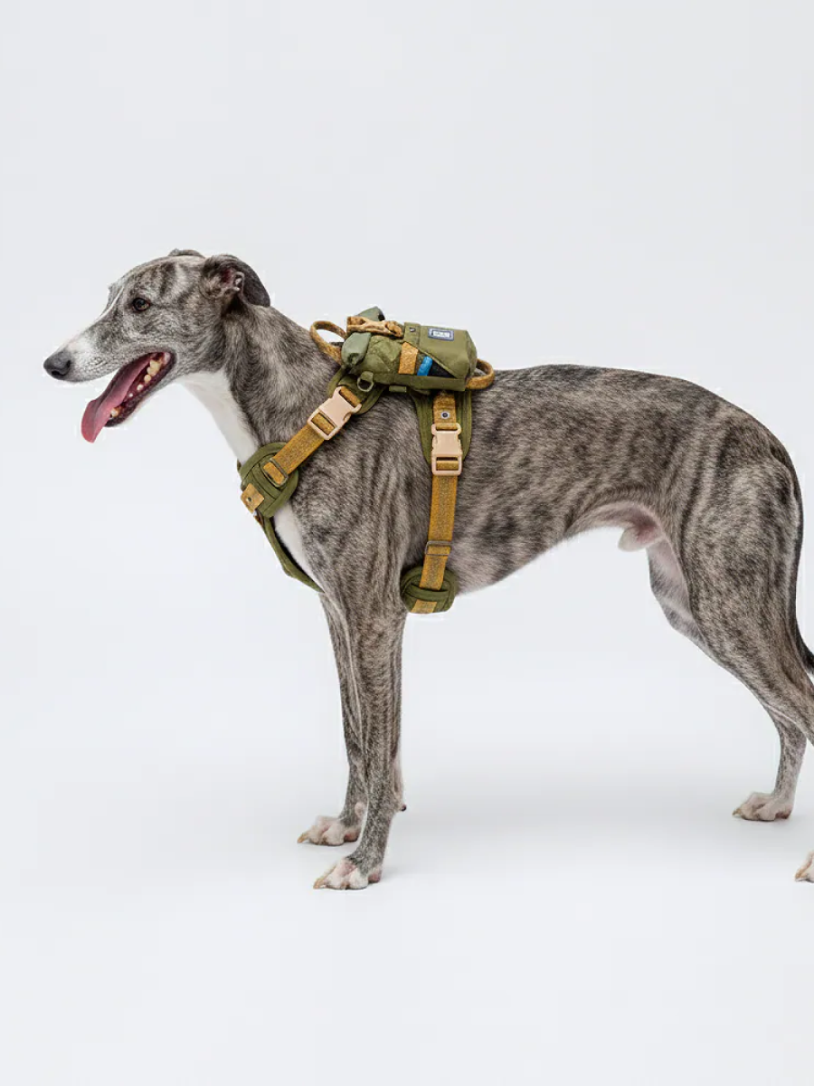 【horhorjoy】一起 GO GO 親子隨行包｜ 經典款 (黃)