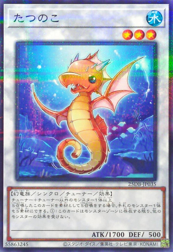 25DB-JP035 たつのこ