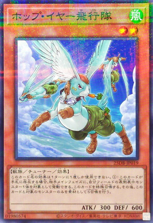 25DB-JP019 ホップイヤー飛行隊