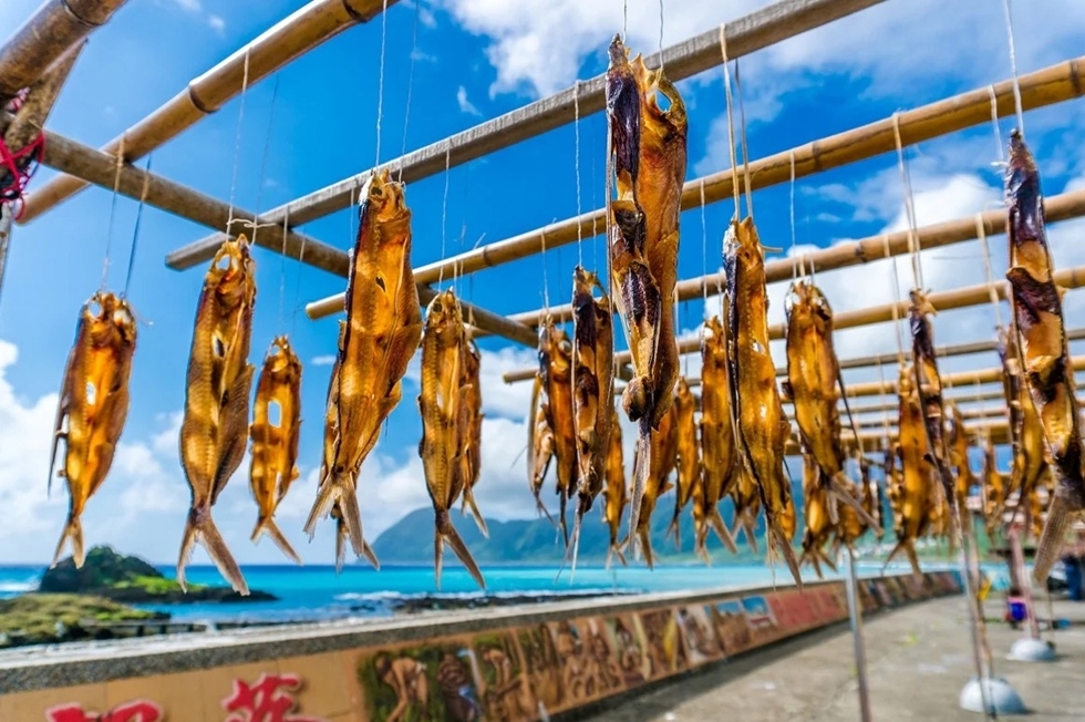 飛魚季的第一個階段是收藏祭，大規模捕撈活動結束，族人會開始把吃不完的魚做成魚乾貯藏。