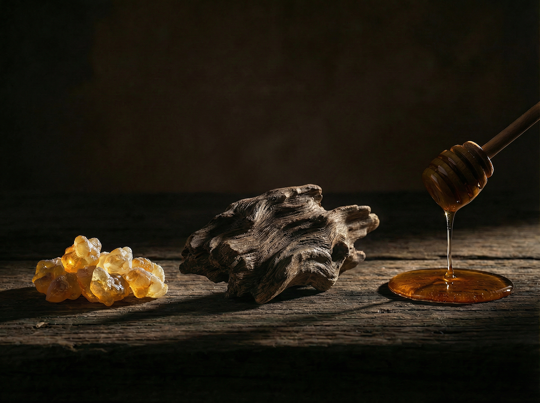 Moonlight Oud Noir Hand Cream Fragrance Profile 莯光 烏木夜語護手乳 香氣敘事 沉香 烏木 蜜香 樹酯 皇家烏木