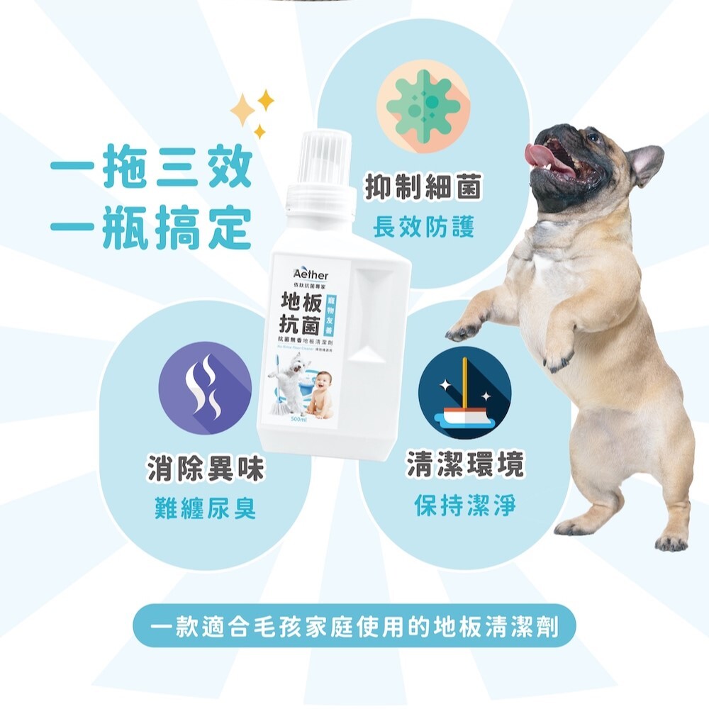 Aether依鈦｜抗菌無香地板清潔劑 500ml