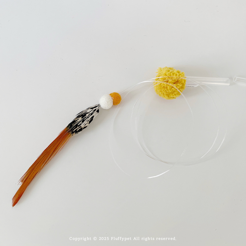 【ℕ𝔼𝕎】空中金魚