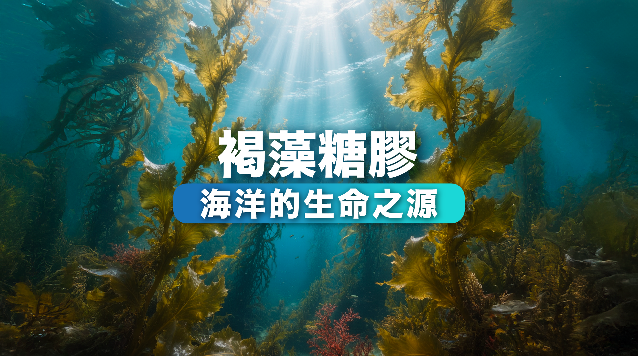 褐藻糖膠主要存在於褐藻中，特別是海帶、裙帶菜與其他海藻。大量研究表明，褐藻糖膠具有抑制異細胞、免疫調節、抗氧化及抗炎等多重生物活性。根據一項發表在《自然藥物學》上的研究，褐藻糖膠能透過誘導凋亡、抑制細胞增殖來對抗多種異細胞，包括乳腺患、肝患和結腸患等¹。