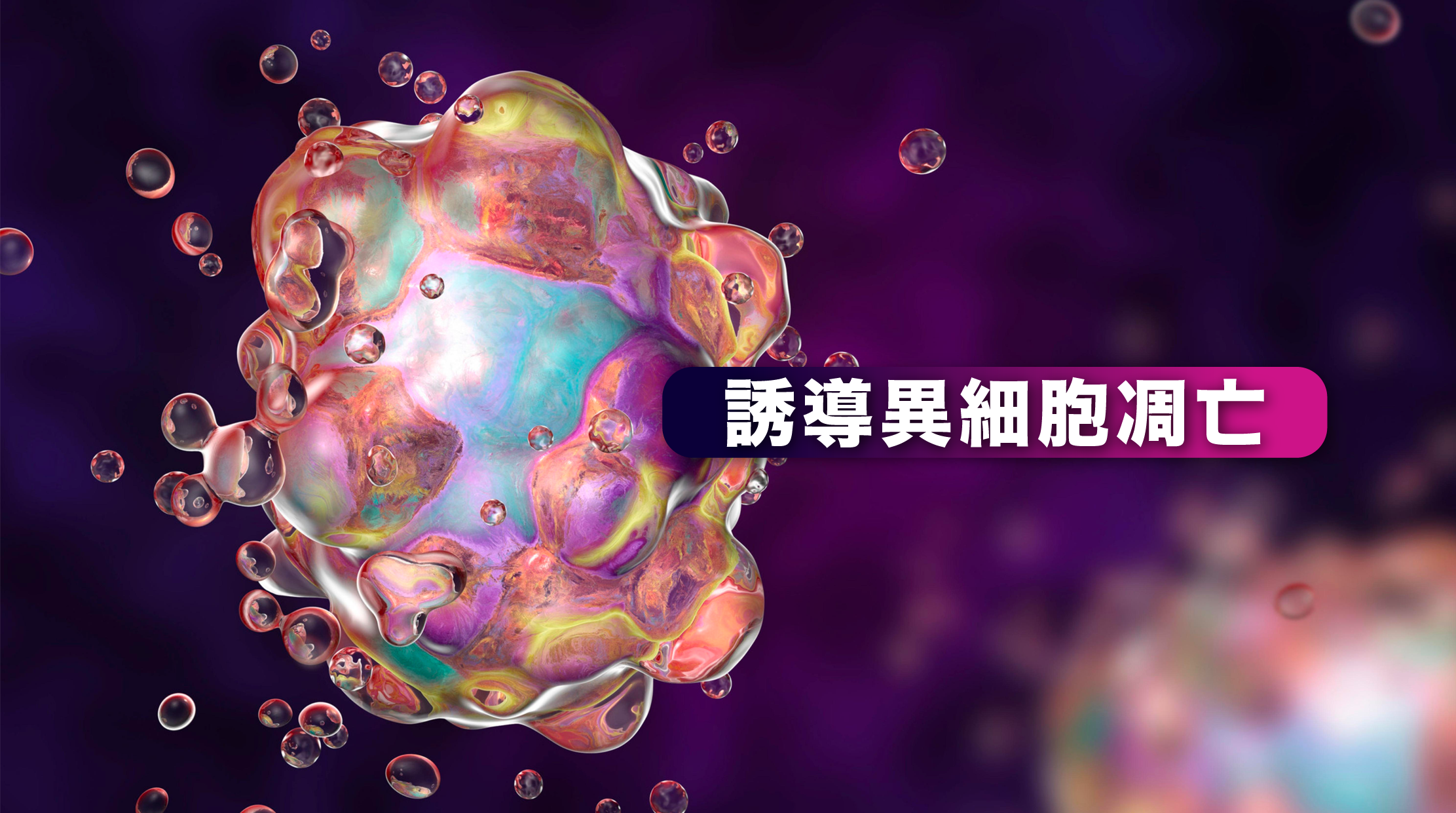 1. 誘導異細胞凋亡：     研究表明，褐藻糖膠能激活異細胞細胞內的凋亡信號通路，促使異細胞自我毀滅。一項實驗數據顯示，褐藻糖膠能夠顯著增加異細胞中的凋亡率，並且對正常細胞影響較小²。