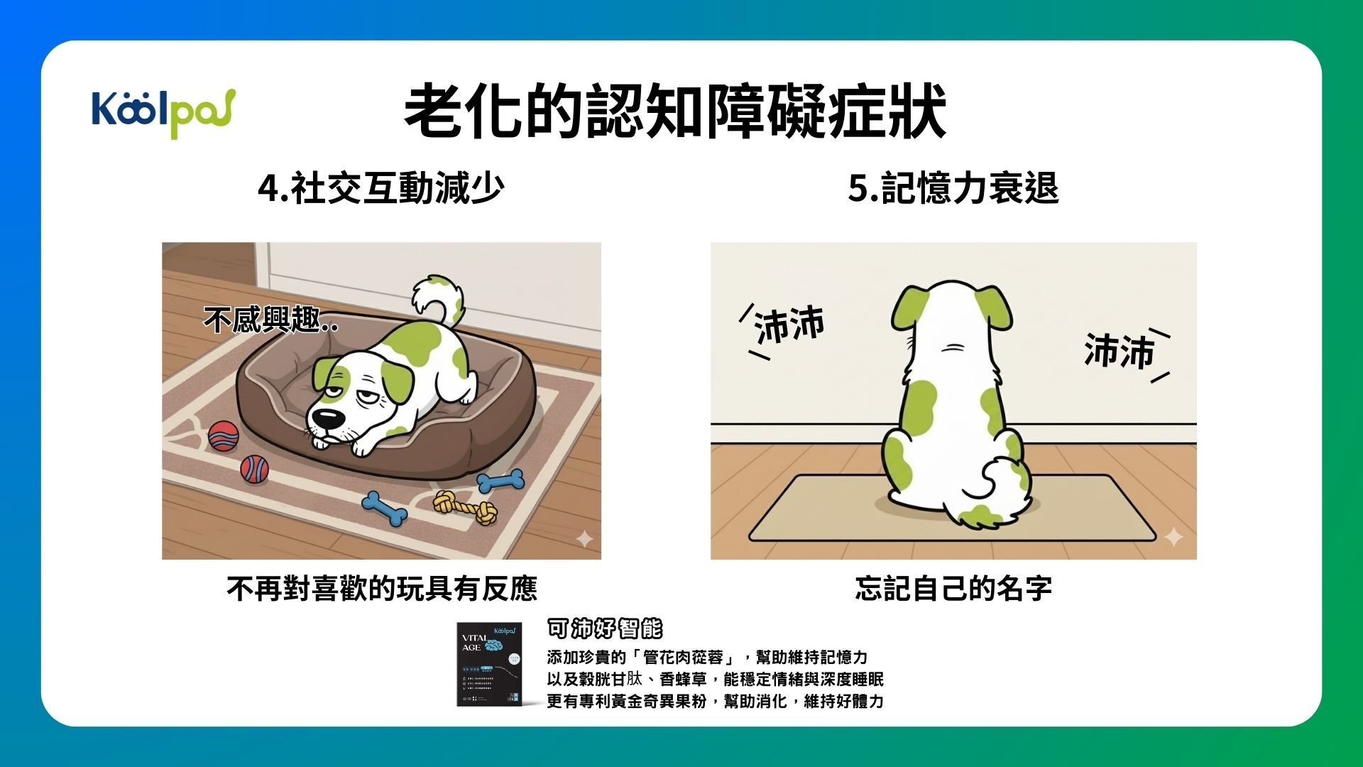 狗狗老化的認知障礙症狀：社交減少、記憶力衰退