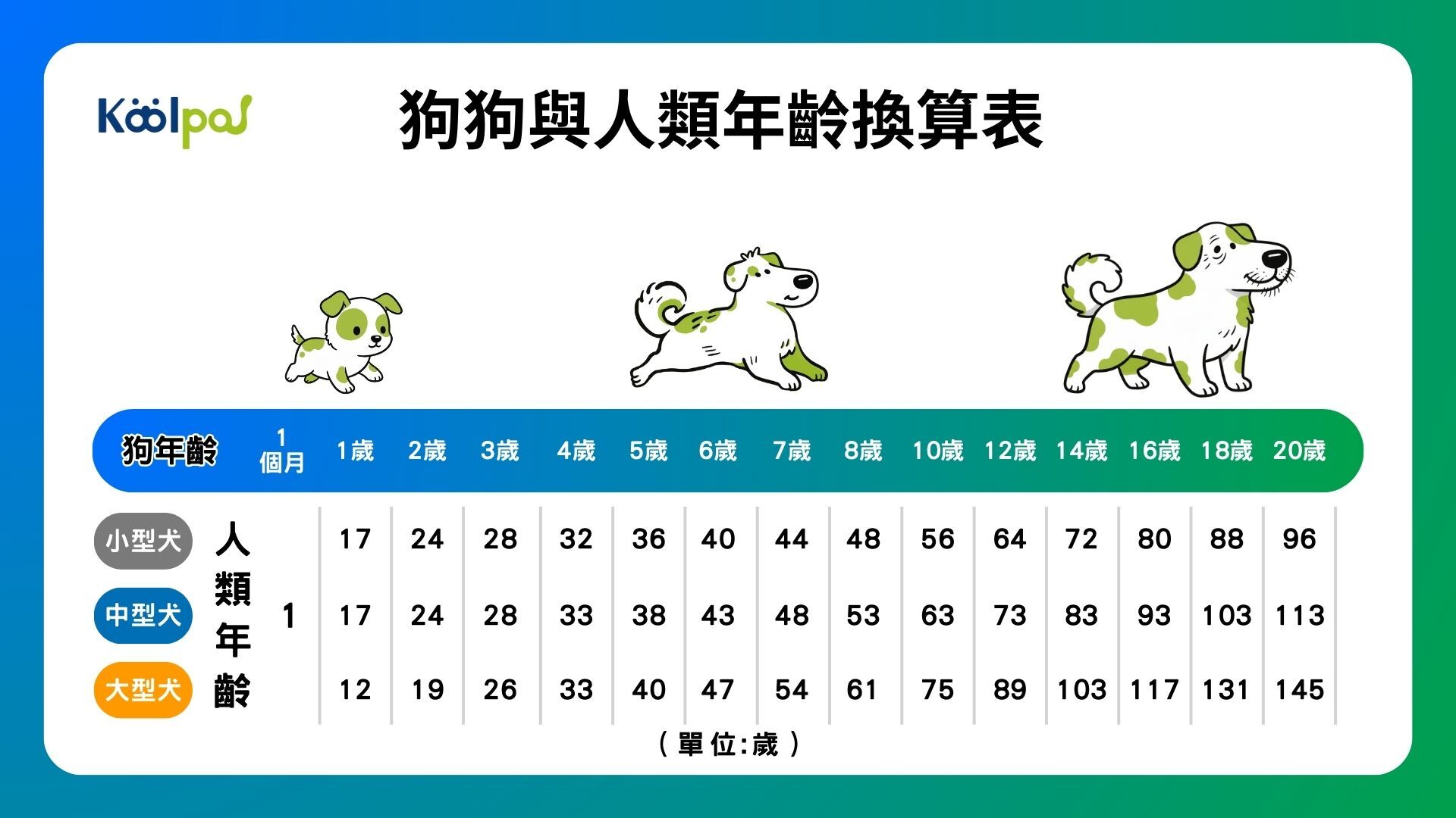 狗狗與人類年齡換算表