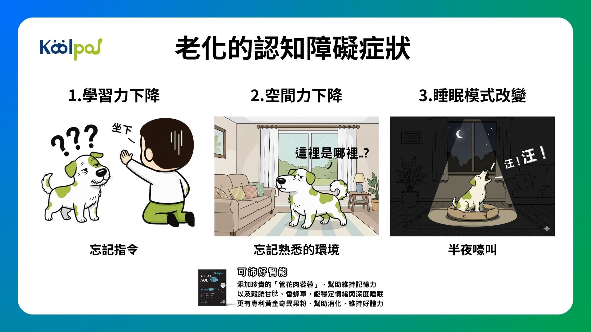 狗狗老化的認知障礙症狀：學習力下降、空間判斷下降、睡不好