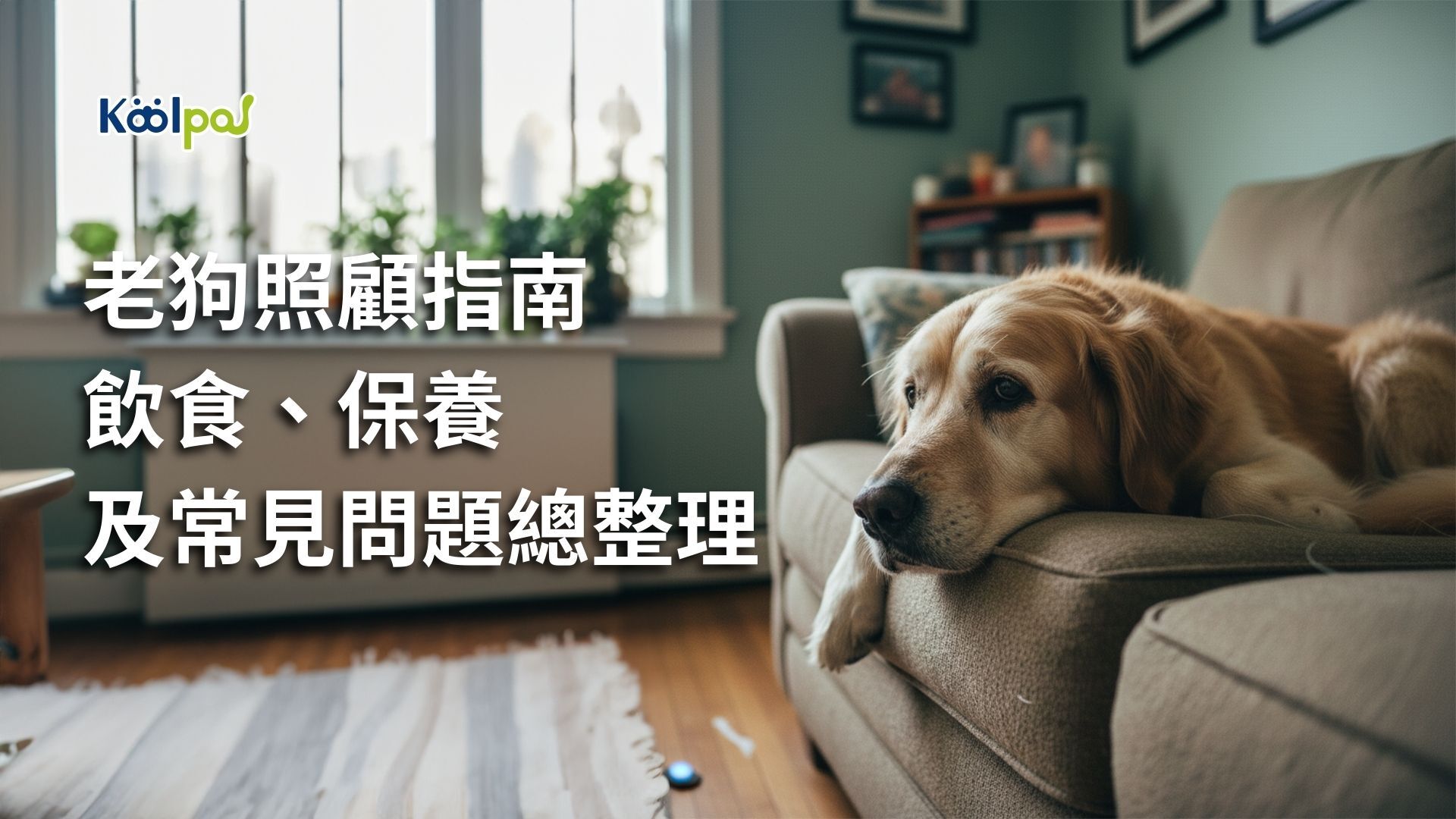 怎麼進行老狗照顧？先瞭解老狗的身體變化