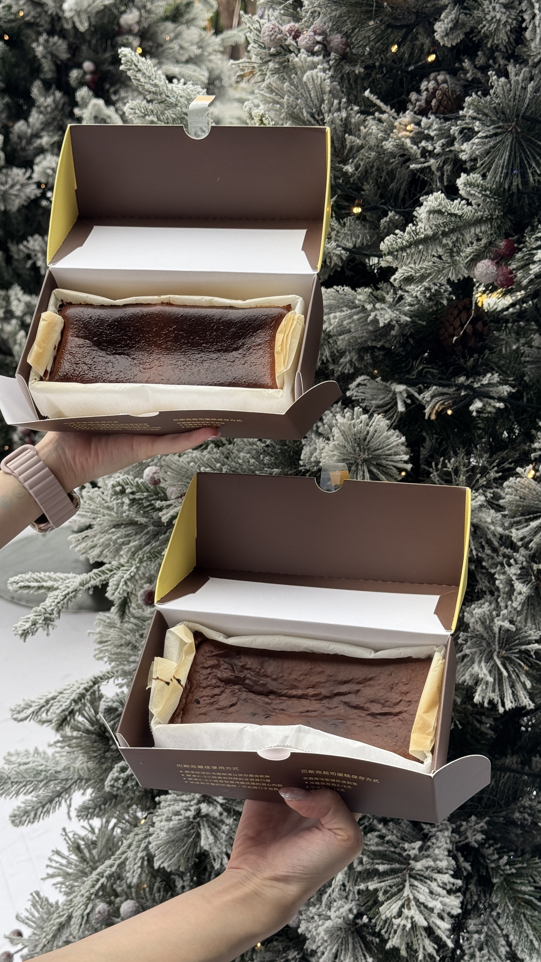 台中新光、台中新光三越、快閃店、巴斯克、查壹茶