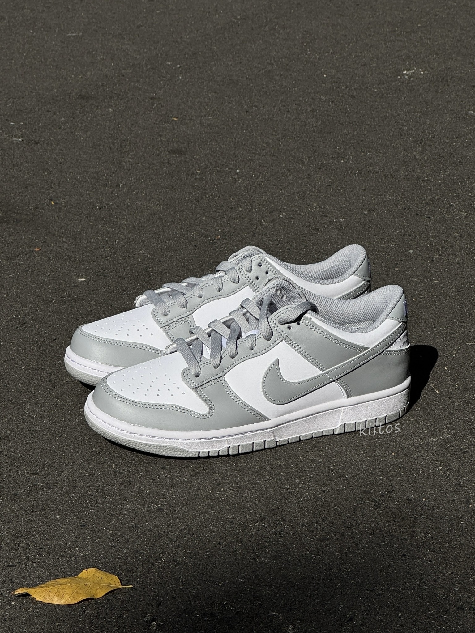 【現貨/預購】Nike Dunk Low GS 灰白 水泥灰 大童鞋 FB9109-123