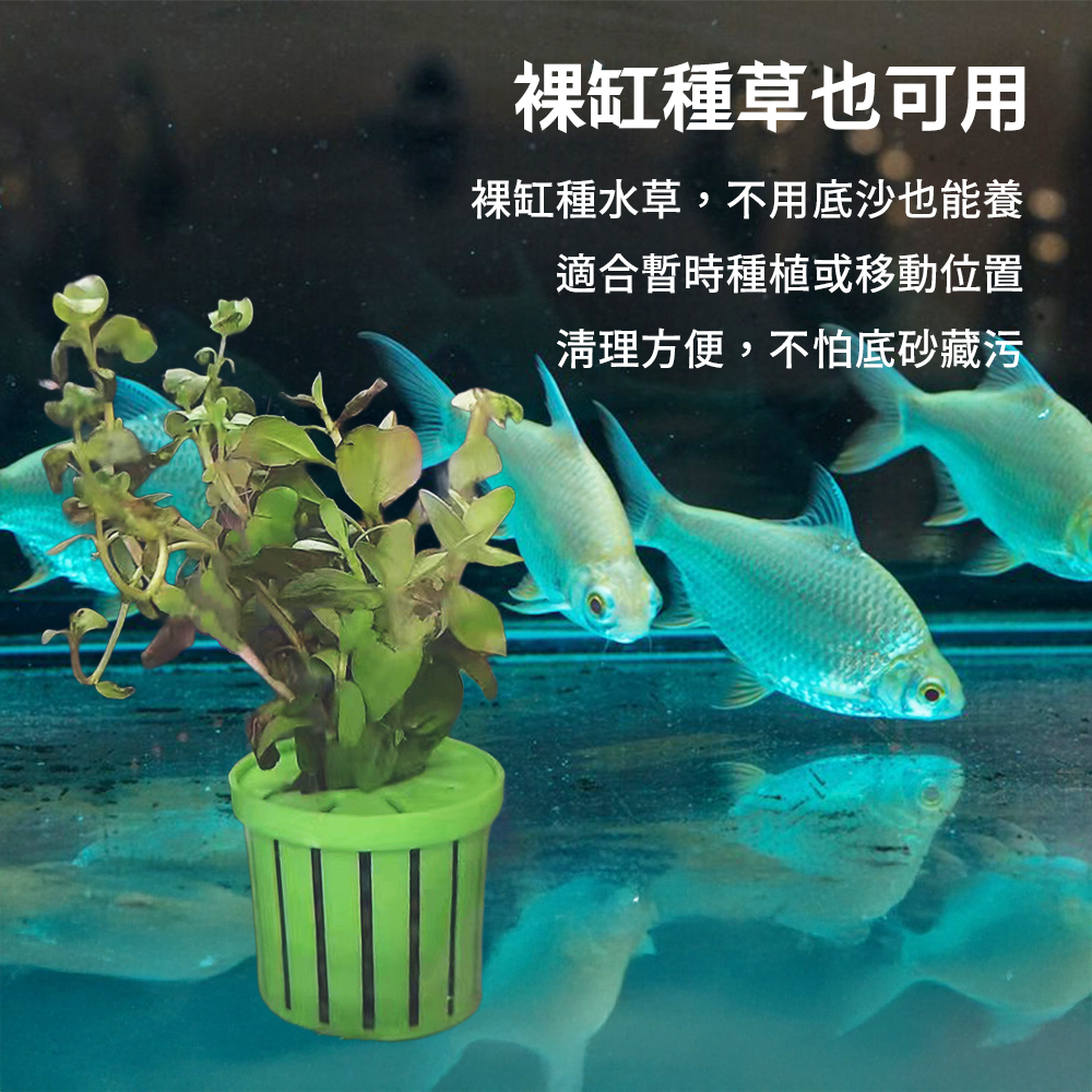 水草定植籃免底砂水草栽培工具- 養魚治百病