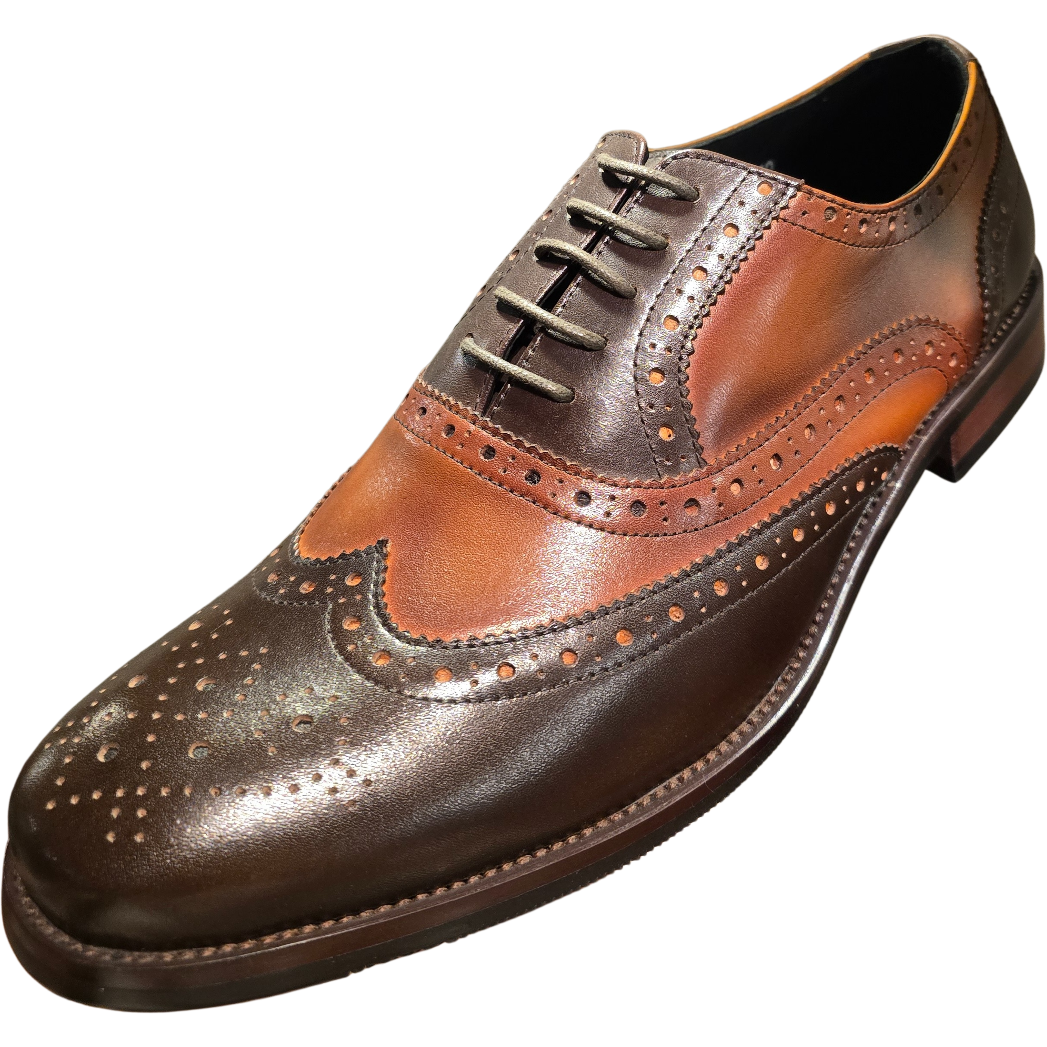 Revic 男裝皮鞋 | TCF-62-2BR｜啡色翼紋雕花牛津皮鞋