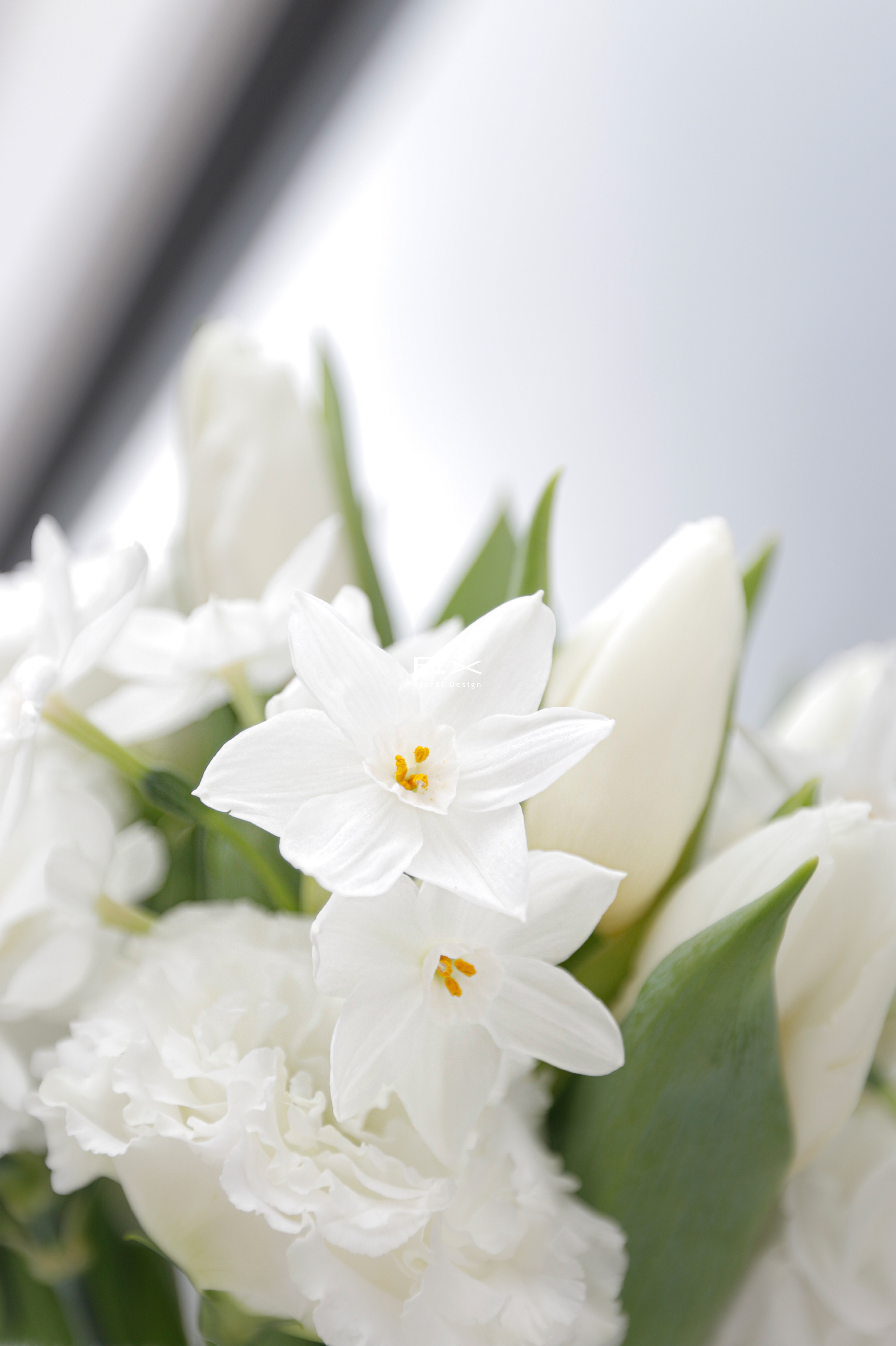 White Marry 鮮花束