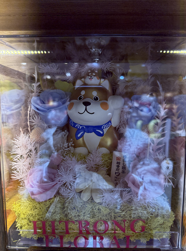 0119gzc3-招財貓-柴犬永生花禮盒（C3）