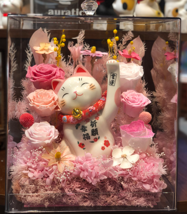 0119gzc9-招財貓- 永久花禮盒（C9）