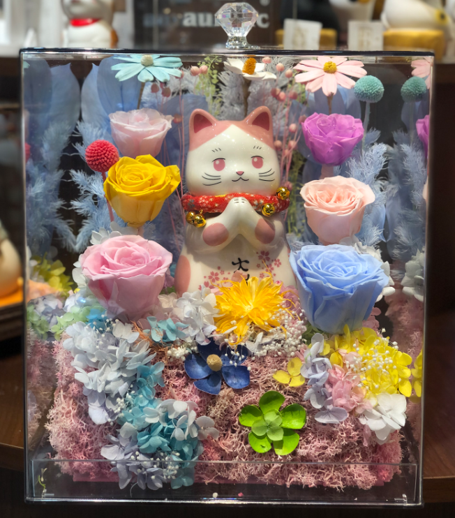 0119gzc10-招財貓- 永久花禮盒（粉）（C10）