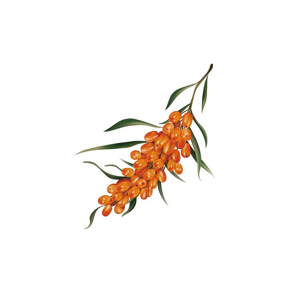 【停產】 沙棘果油軟膠囊  60粒