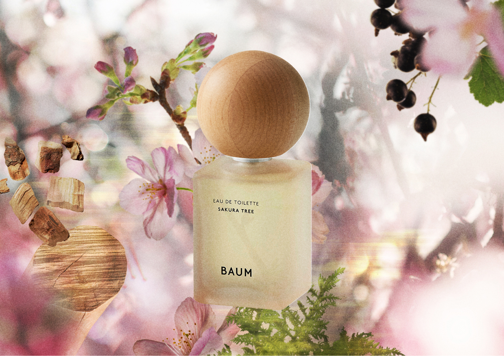 [限定] BAUM Sakura Tree Collection 2026 櫻花樹淡香水 & 櫻花香氛洗手液